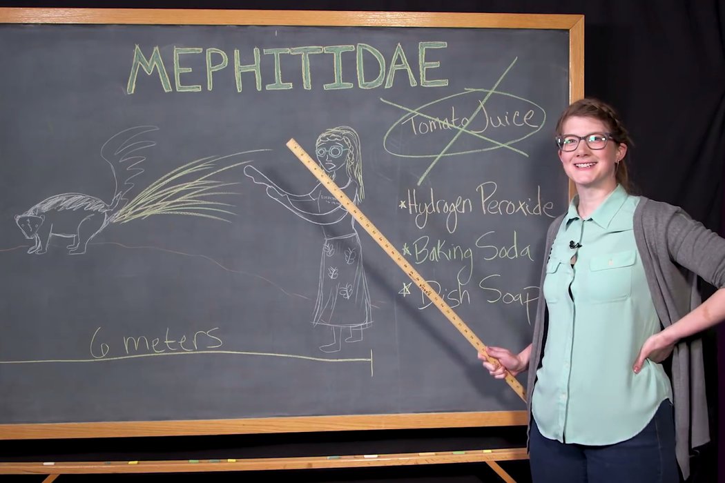 Las dificultades que enfrentan las mujeres que hacen ciencia en YouTube