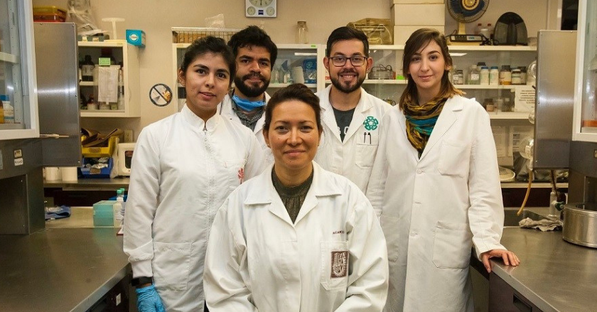Científicos del IPN logran eliminar el Papiloma Humano de 29 mujeres
