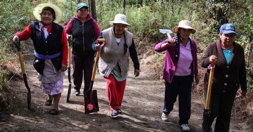 Mujeres protegen Parque Nacional “La Malinche”