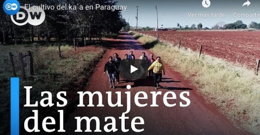 Las mujeres del mate