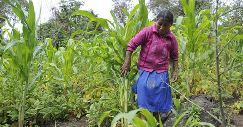 La mitad de las mujeres del mundo no tienen ingresos propios: WeAmericas