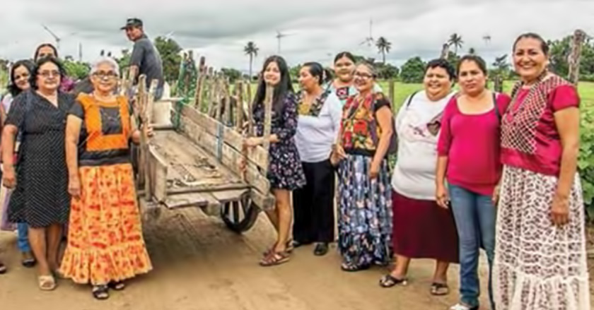Guerreras zapotecas pelean por sus tierras; rechazan parque eólico