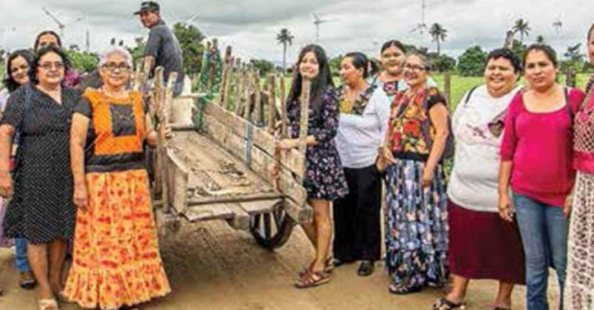Guerreras zapotecas pelean por sus tierras; rechazan parque eólico