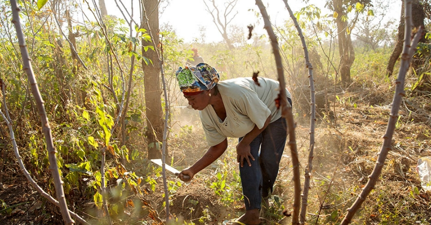 En la mira: Día Internacional de las Mujeres Rurales
