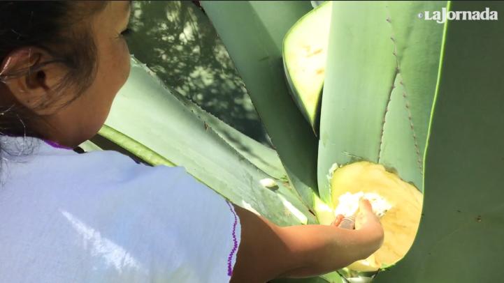 El Almacén: mujeres, del rescate de las tradiciones al ecoturismo