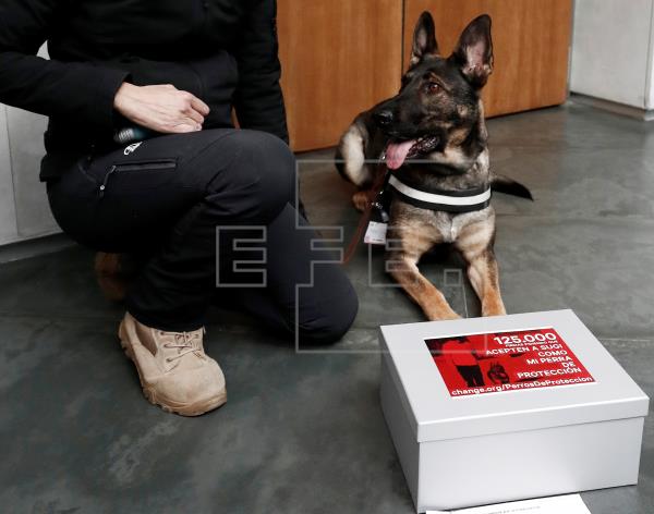 Más de 276.000 firmas para que mujeres maltratadas tengan un perro de defensa