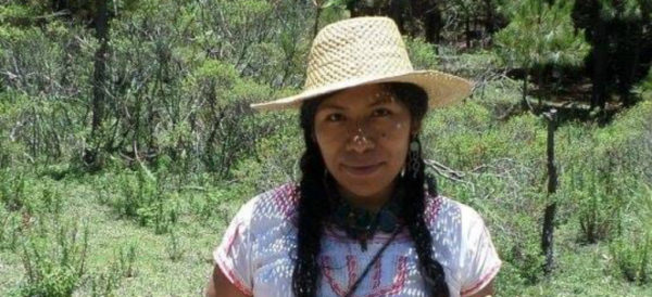 Alertan por desaparición de Irma Galindo, defensora de bosques en Oaxaca