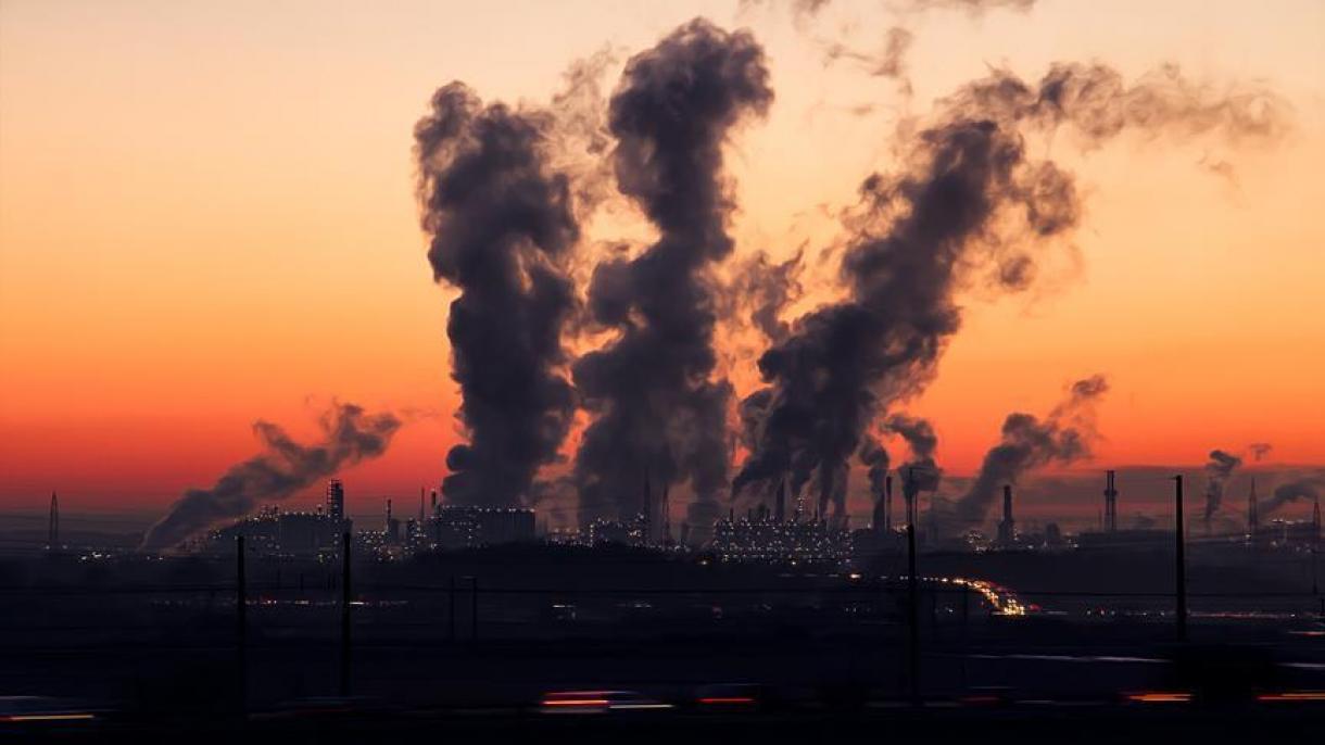 Las mujeres son menos responsables de las emisiones de gases de efecto invernadero