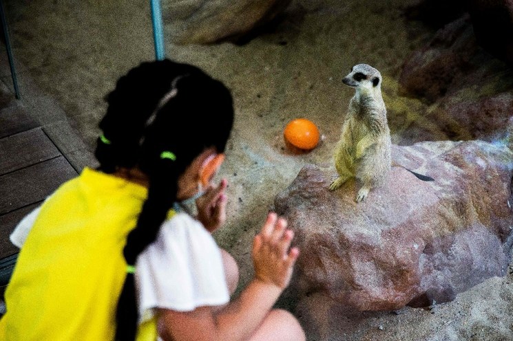 Más de 140 millones de mujeres “faltan” en el mundo: ONU
