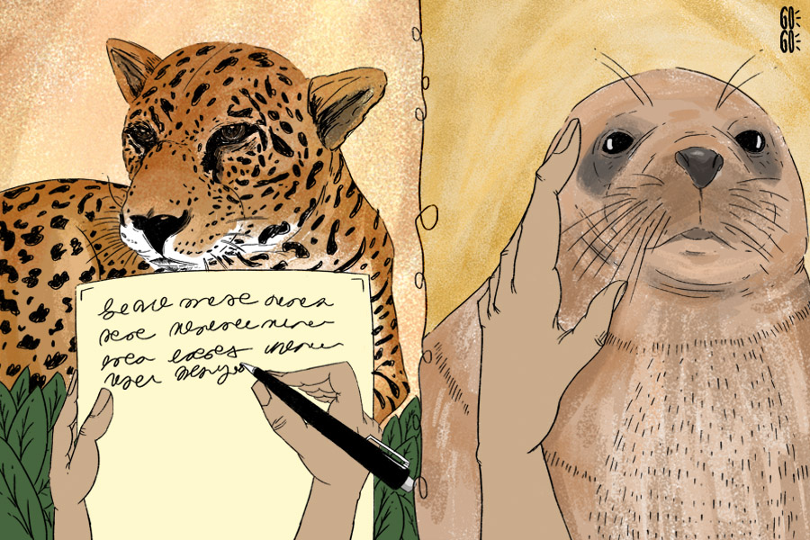 Ser zoóloga en México: pasión por los animales, aventura y machismo por superar