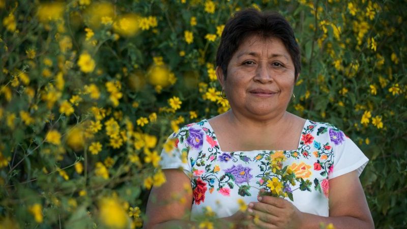 Leydy Pech, la «guardiana de las abejas» que le ganó una batalla a Monsanto en México