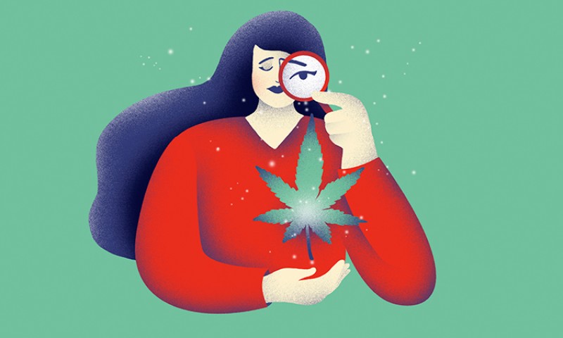 La labor de cuidados de mujeres abrió la industria del cannabis en México
