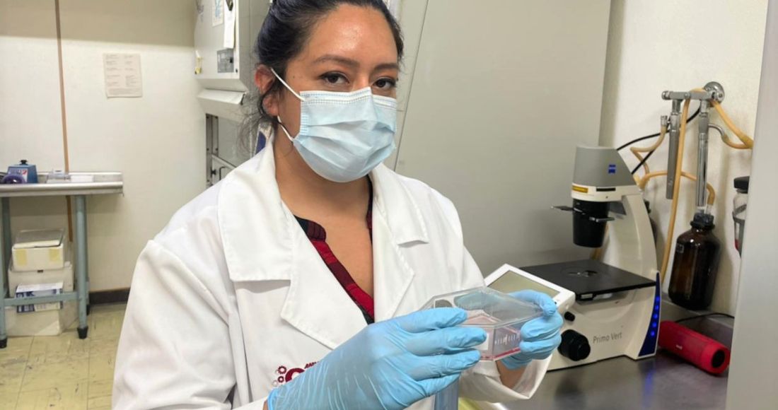 Científica del IPN desarrolla biofármaco con 90% de eficacia para tratar la COVID-19