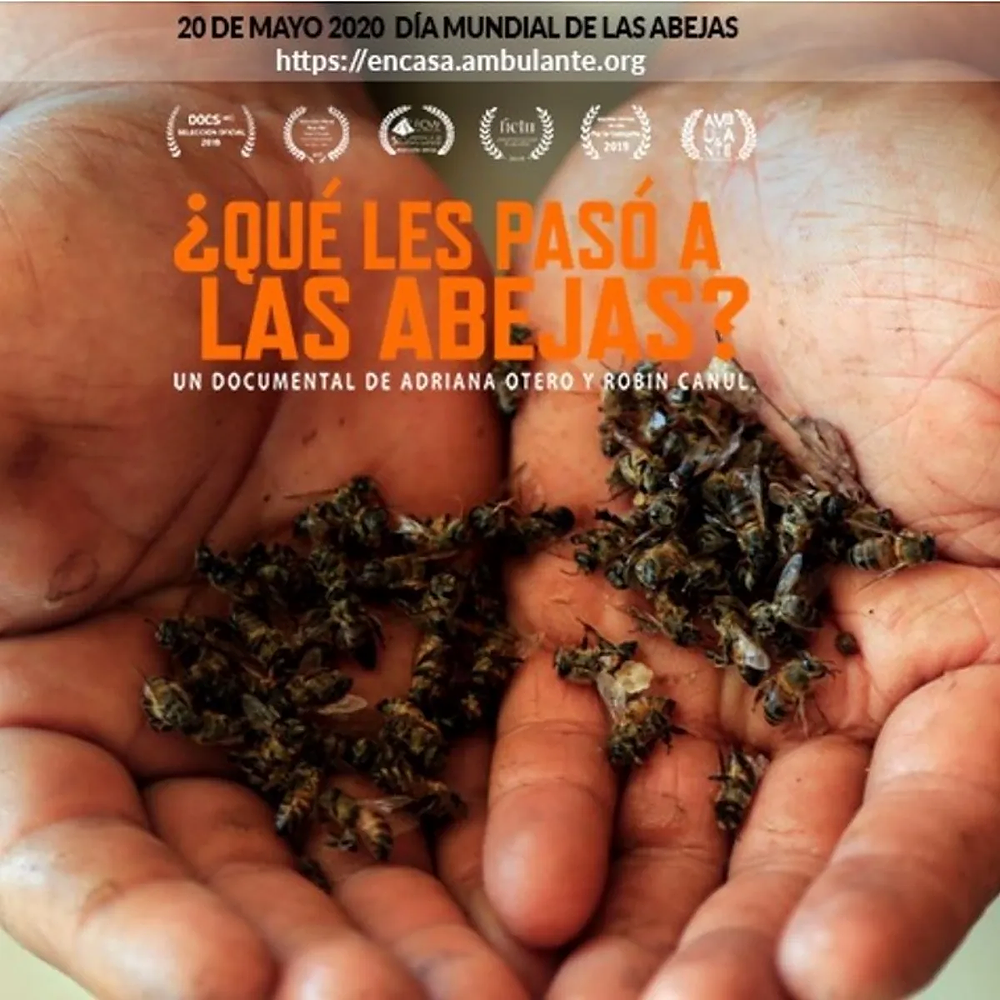 Adriana Otero, la cineasta yucateca que sueña con mundos mejores