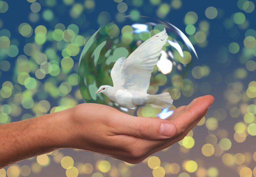 5 mujeres que han ganado el Premio Nobel de la Paz