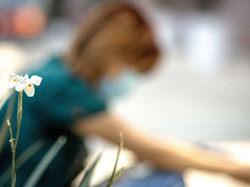 Depresión daña más a mujeres que hombres; UNAM alerta por la otra pandemia