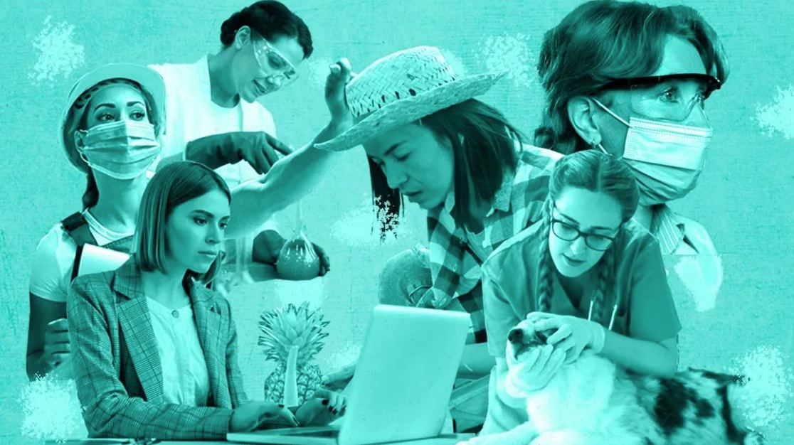 Brecha de género en las áreas públicas de educación y ciencia llega hasta 30%