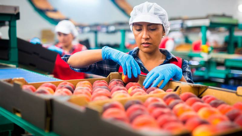 Un día sin mujeres: su poder adquisitivo es de 5,345 mdp al día en México