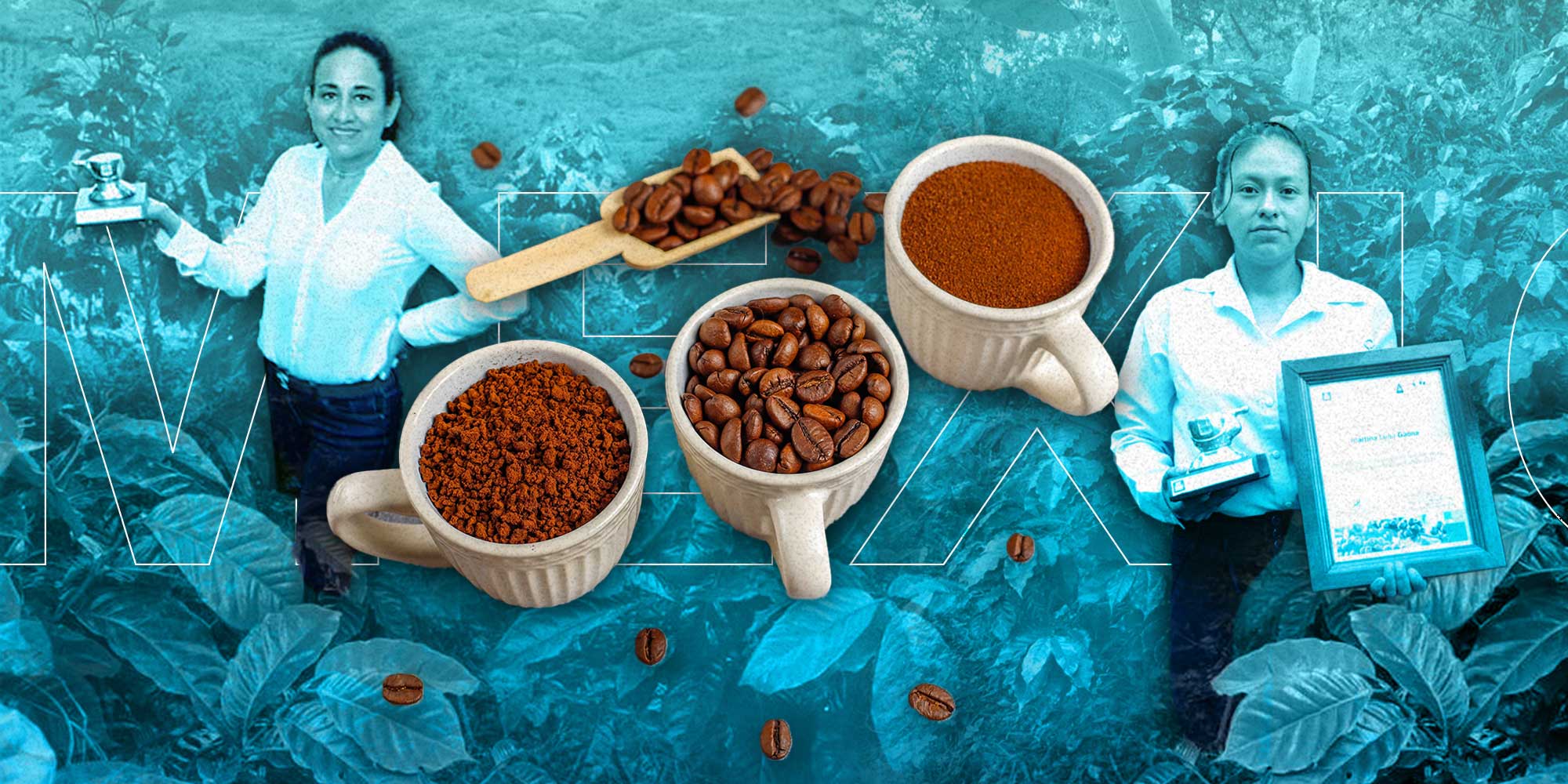 Mujeres mexicanas lideran la producción de café de especialidad