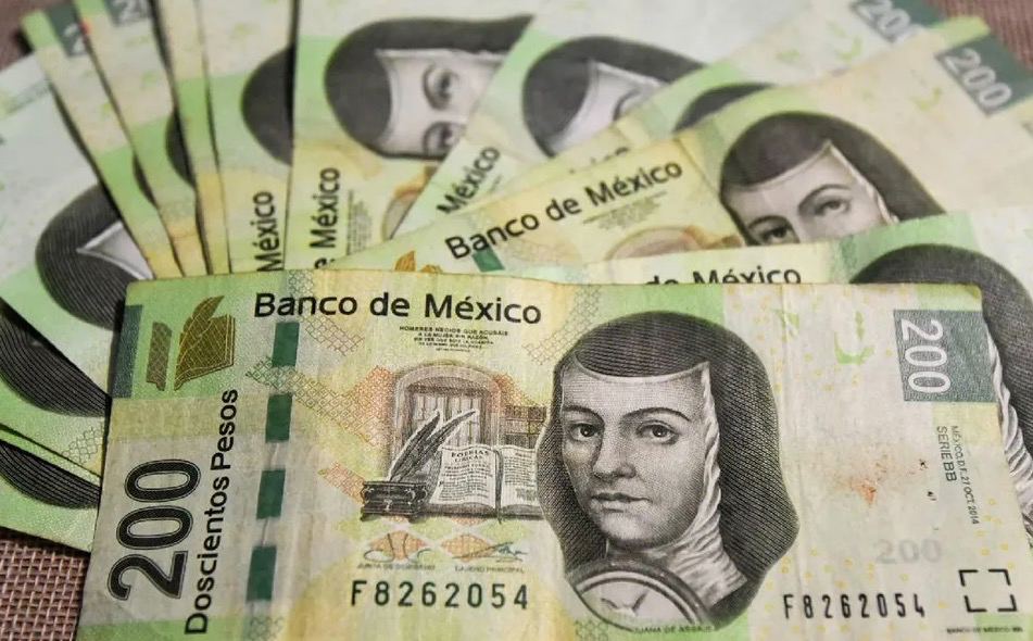 Incumplieron poderes y órganos autónomos con programas de género