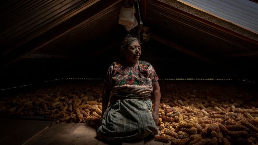 Leyes que protegen a las mujeres para combatir el hambre en el mundo