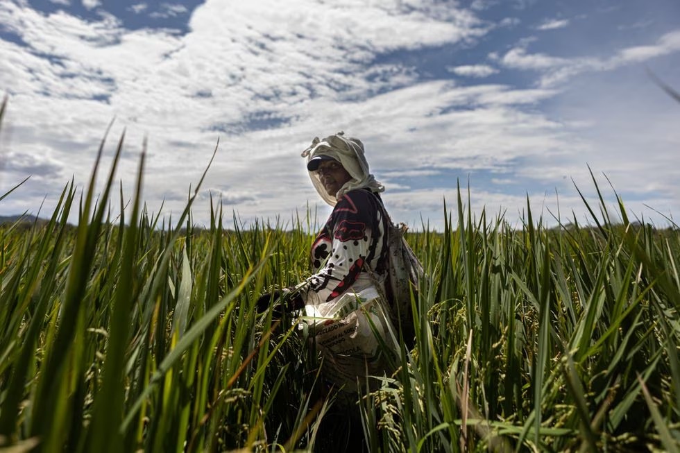Una década para saldar las deudas con las mujeres rurales de América Latina