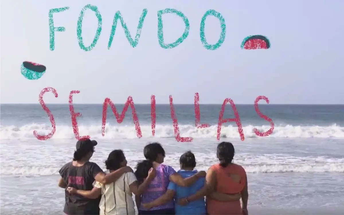 Lanzan fondo para apoyar a mujeres en reconstrucción de comunidades por huracán ‘Otis’