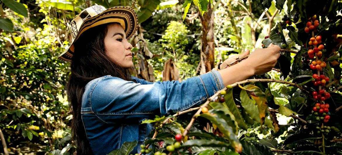 Lanzan un plan para acelerar la igualdad de género