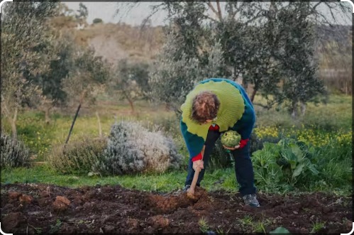 La invisibilidad de la violencia contra mujeres mayores en entornos rurales rurales y remotos