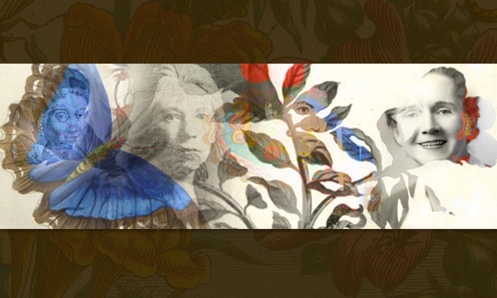 Celebrando a las mujeres pioneras de la entomología